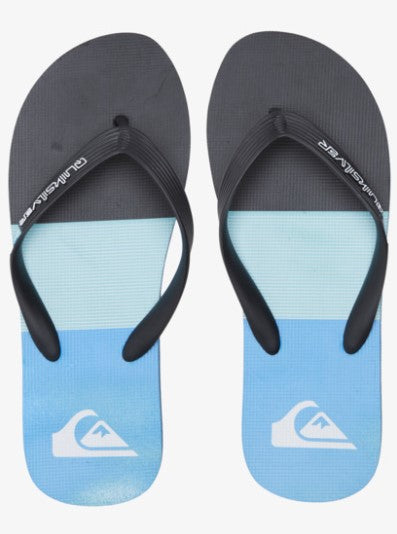 Quiksilver Molokai Panel Mens Jandals