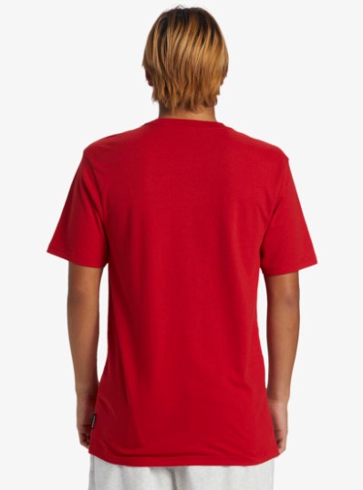 Quiksilver QS Petroglyph Men's Tee in salsa from back