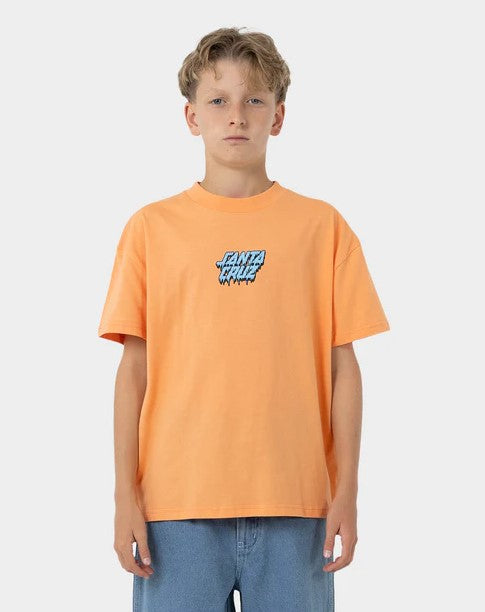 Santa Cruz Decaying Hand Oversize Tee - Win25