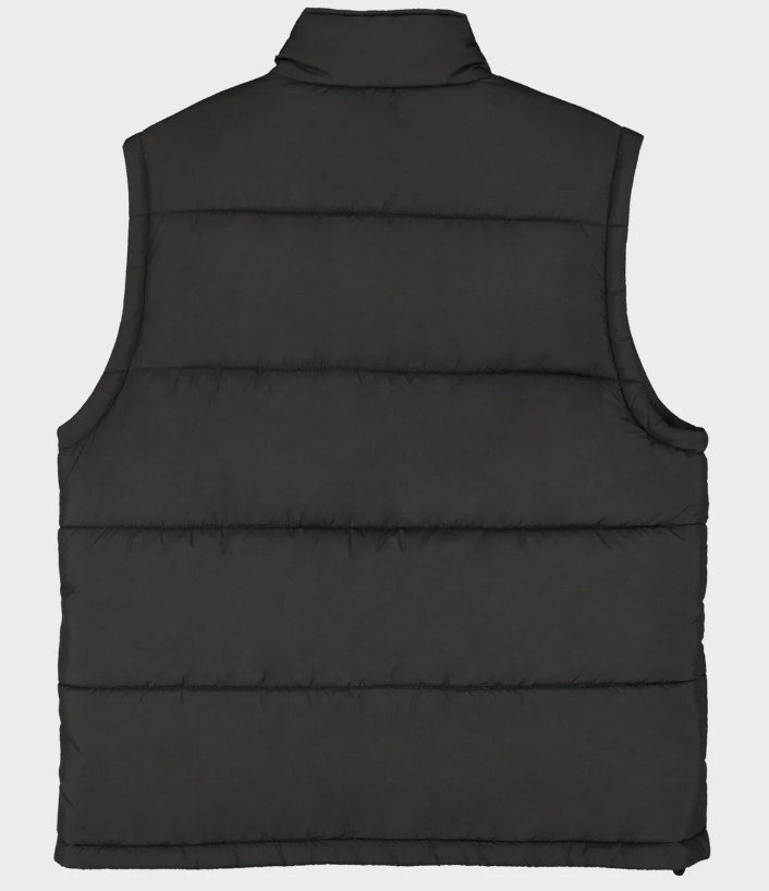 Billabong A/Div Journey Vest
in black from the rear