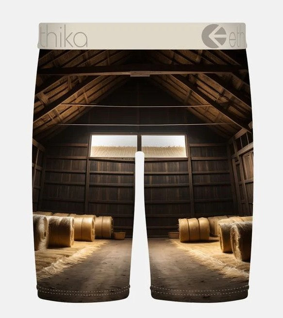 Ethika Bright Barn Staple Boys Boxers from rear