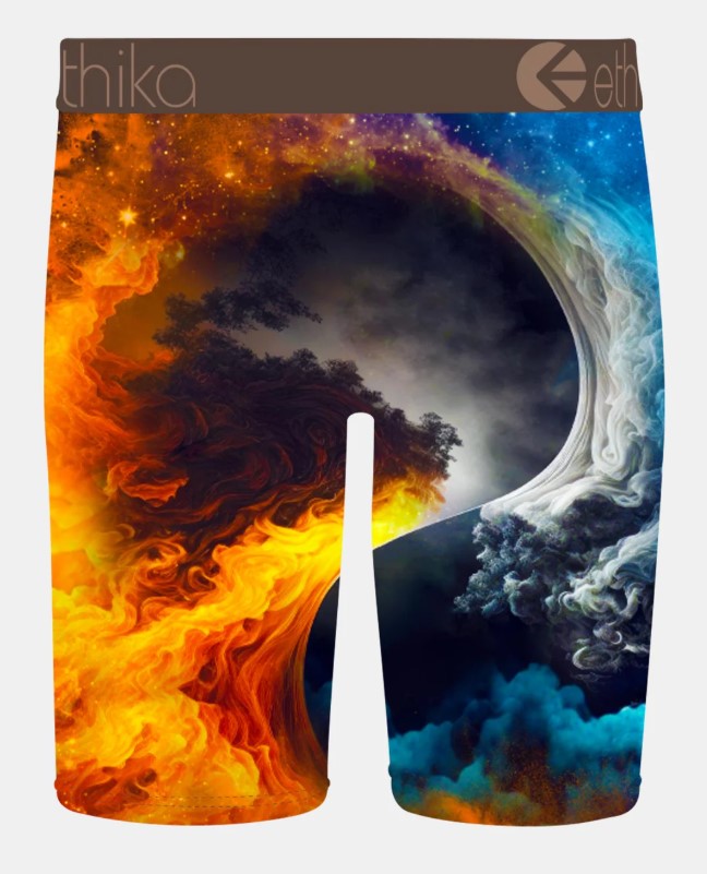 Ethika Mens Bomber Tree Staple Boxers in multi colour from rear