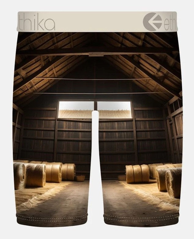 Ethika Bright Barn Staple Men's Boxers from rear