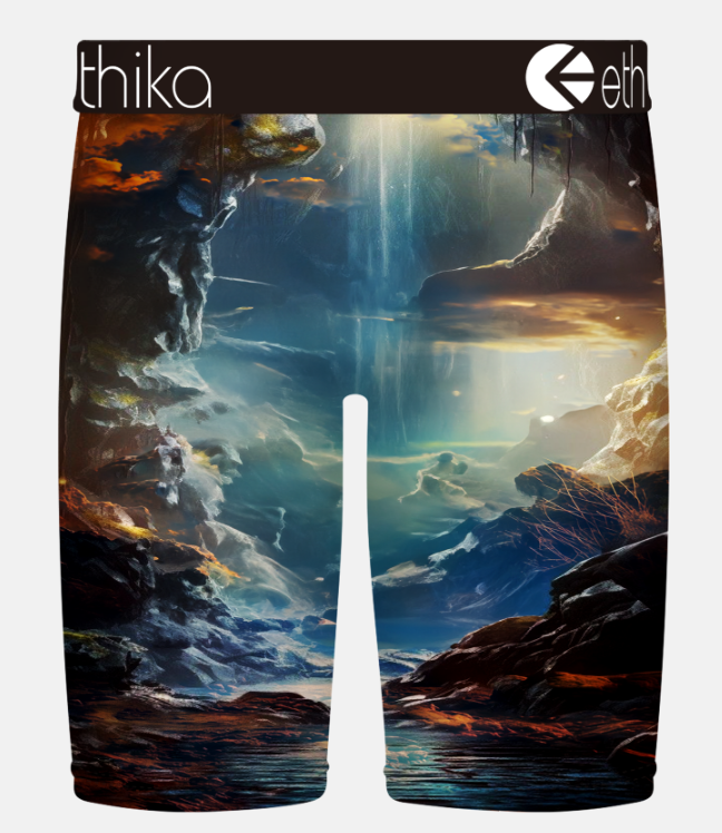 Ethika Lion Hearted Staple Mens Boxers in multi colour from rear