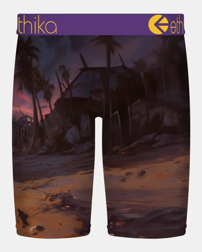 Ethika Mens Terror Terrier Staple Boxers from rear