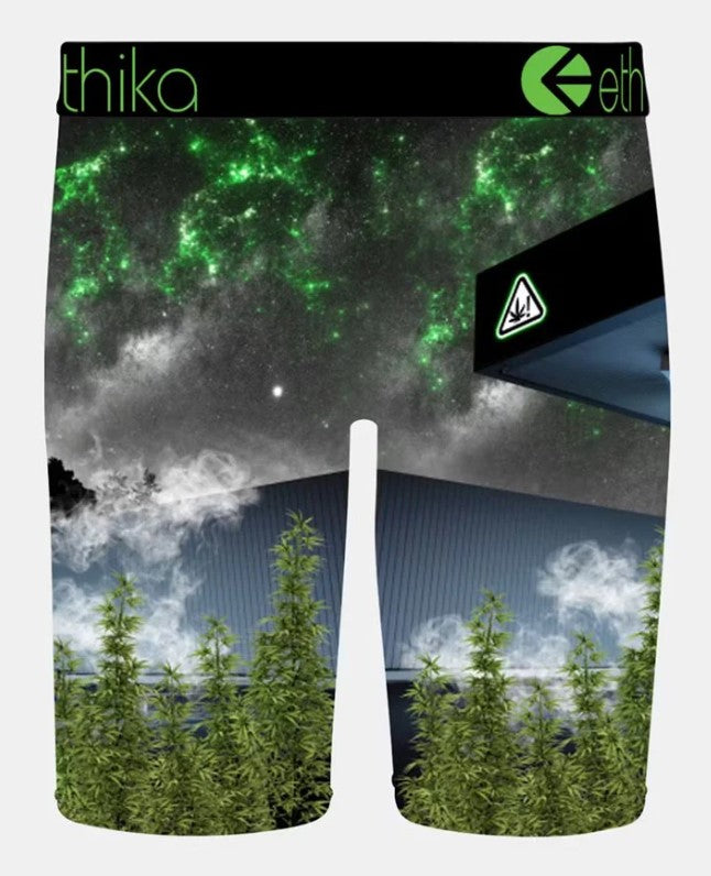 Ethika Pressure Gas Staple Mens Underwear in multicolour from rear