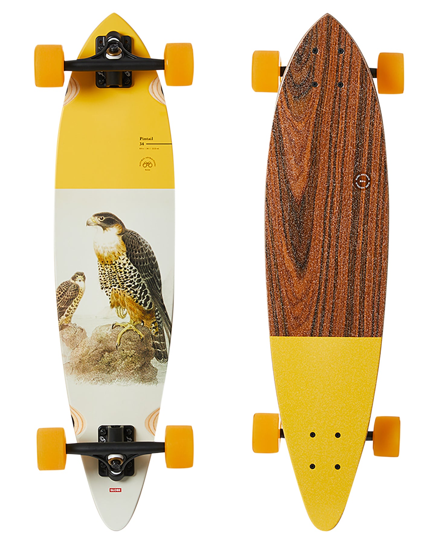 GLOBE PINTAIL 34" LONGBOARD