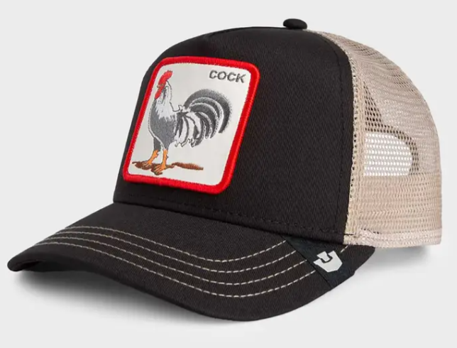 Goorin Bros Rooster Trucker Cap in void colourway