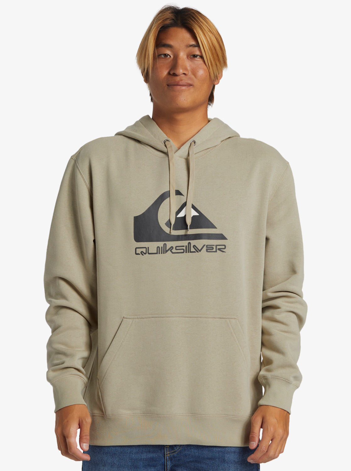 Quiksilver Big Logo Hoodie in plaza taupe
