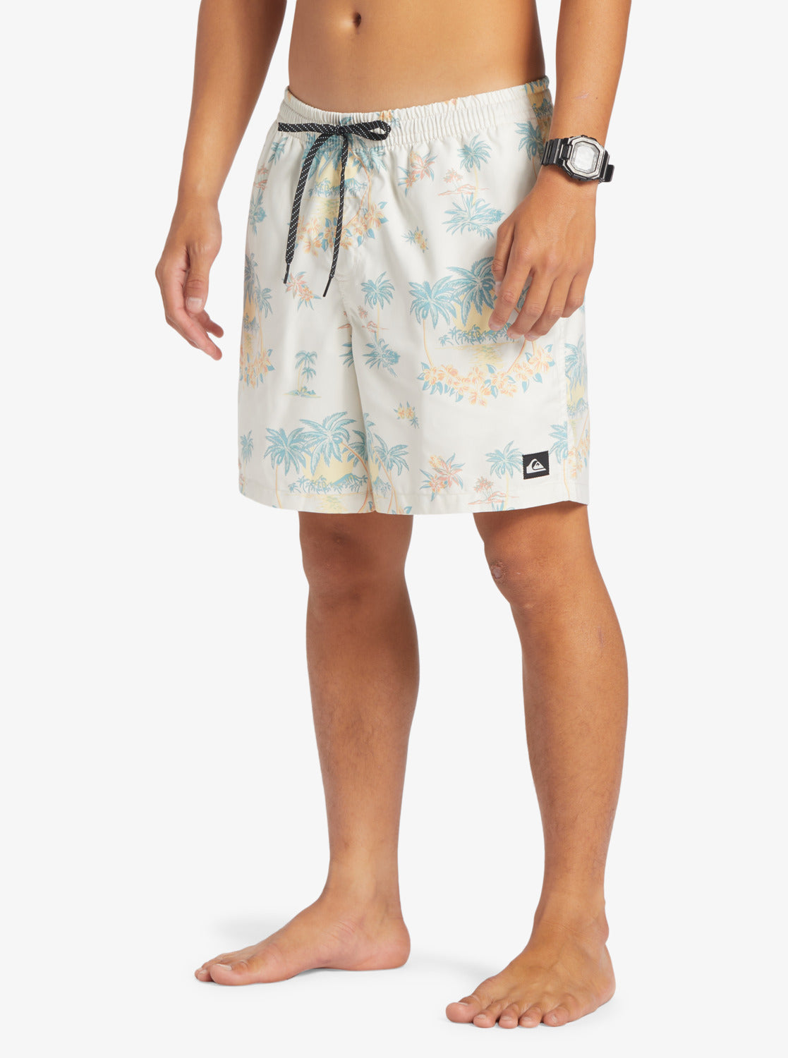 Quiksilver Everyday Mix 17" Volley Shorts  in birch colourway from side