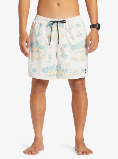 Quiksilver Everyday Mix 17" Volley Shorts in birch colourway from front