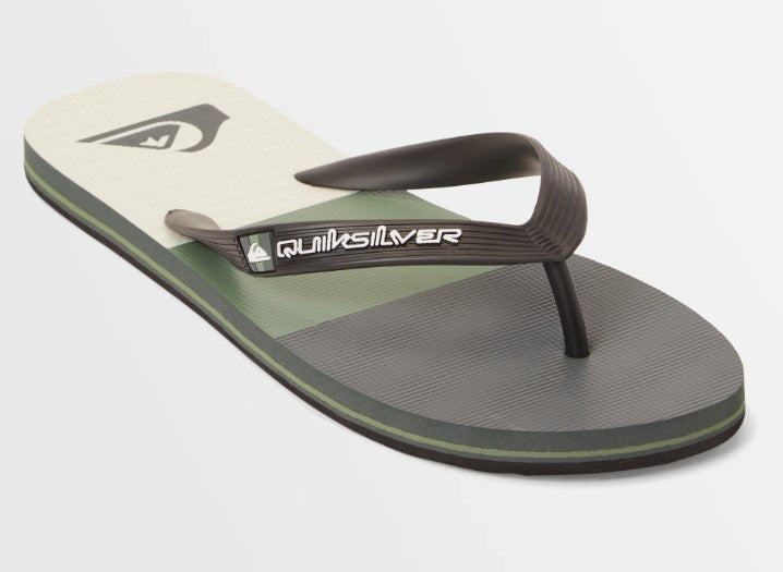 Quiksilver Molokai Stripe Jandals in green 5 colourway