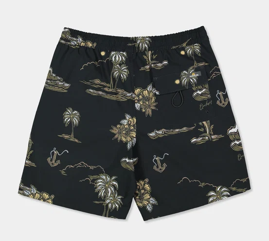 Quiksilver Ocean 18" Volley Shorts in black with ocean style print from rear flatlay