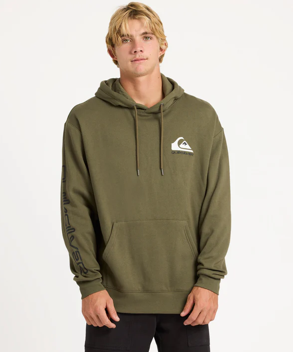 Quiksilver Omni Logo Mens Hoodie in grape leaf green colourway on model from front