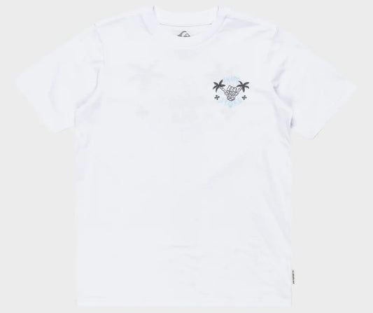 Quiksilver Youth Share The Stoke Tee  in white from front