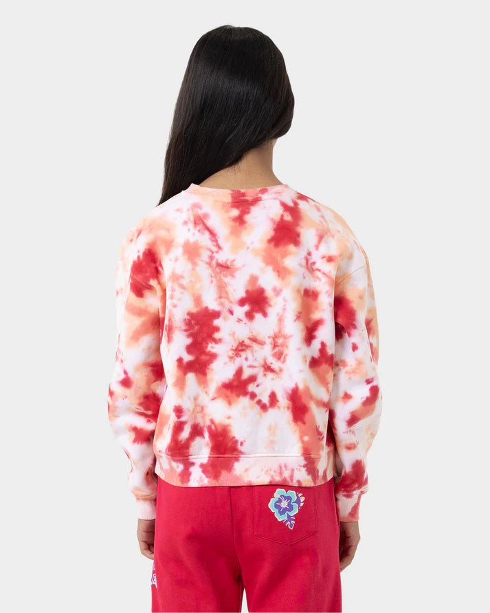 Santa Cruz Free Spirit Floral Stack Sweater in colour pink coral tie dye on model back veiw