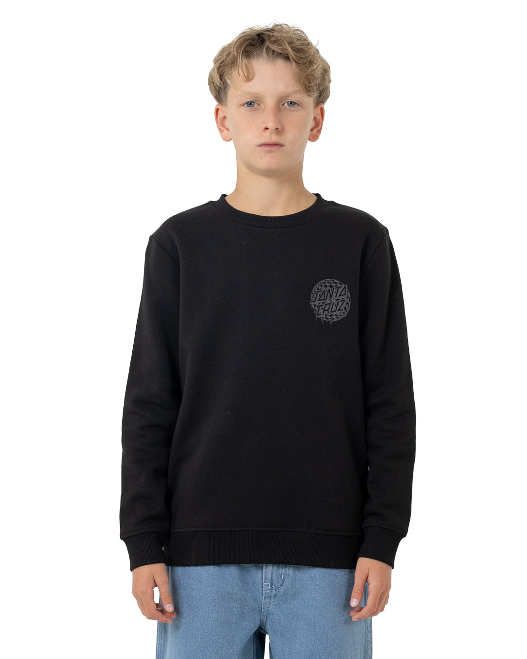 Santa Cruz Youth Check Waste Mono Reflect Sweater in black from front
