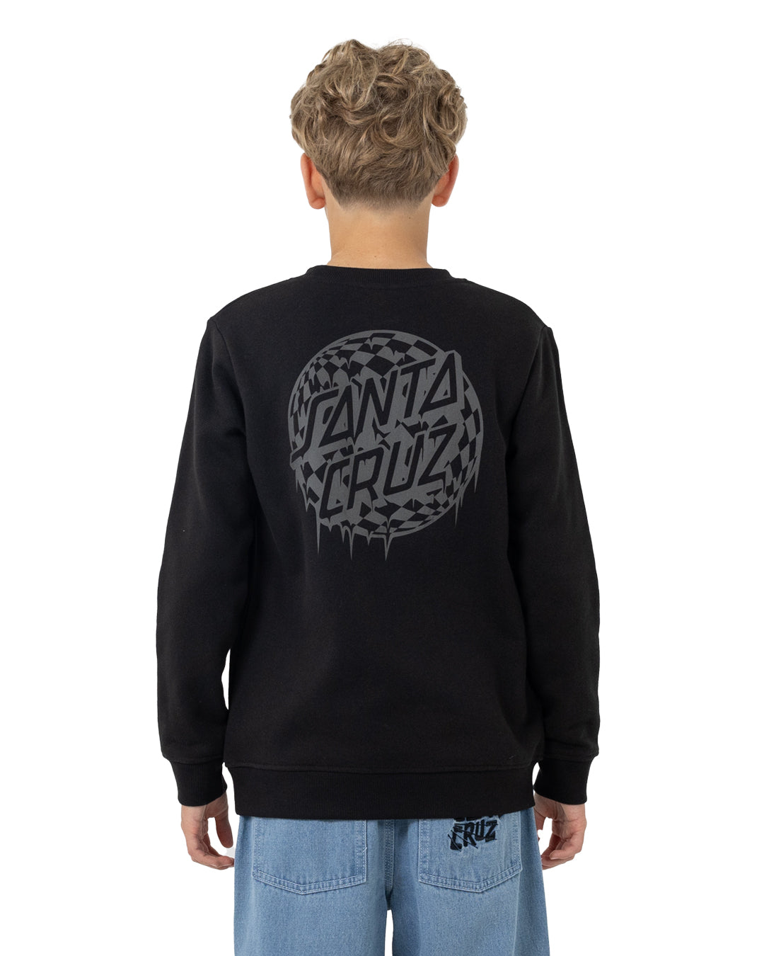 Santa Cruz Youth Check Waste Mono Reflect Sweater in black from rear
