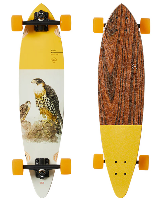 Globe Falcon pintail longboard skateboard