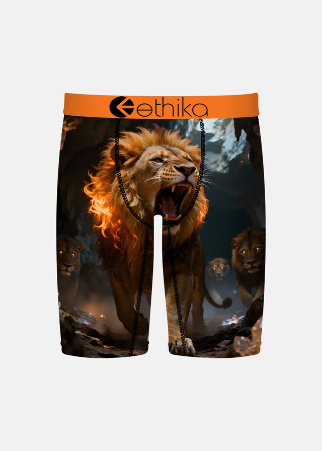 Ethika The Pack Staple Boys Boxers with lions on the front