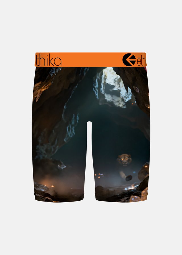 Ethika The Pack Staple Boys Boxers from the back