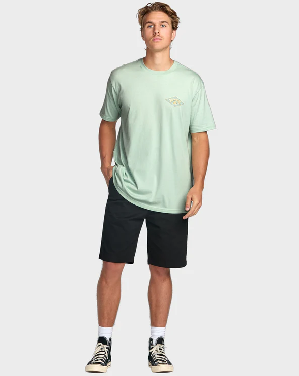 Billabong Diamond Arch Premium T-Shirt in seafoam colourway on model in black shorts from front