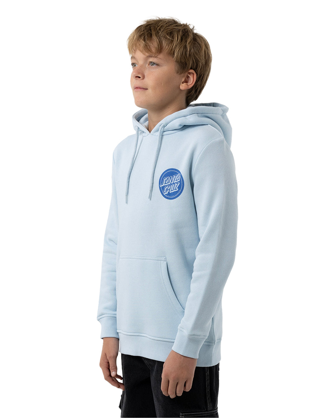 Santa Cruz Reverse Mono Dot Hoodie in light blue on model from side