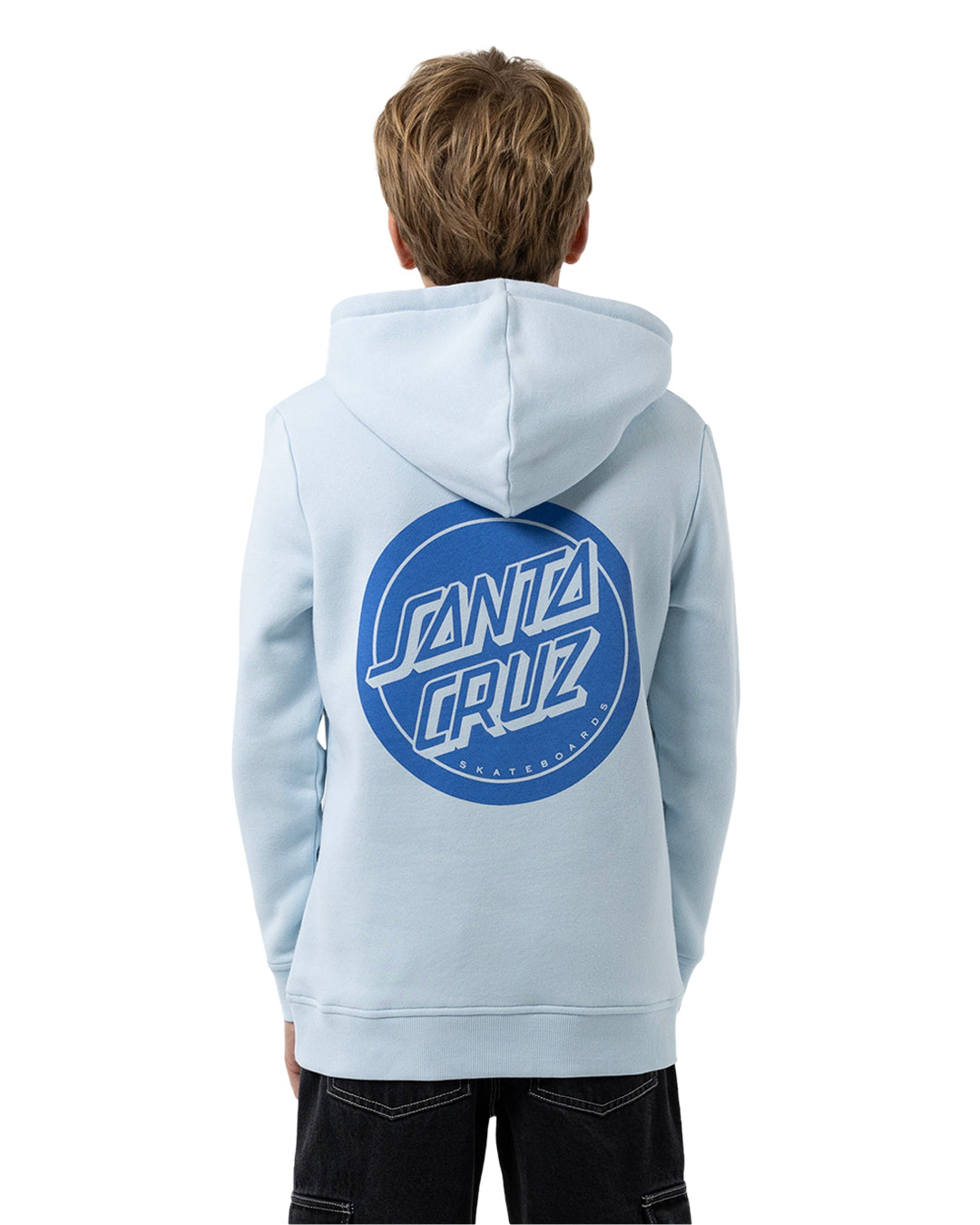 Santa Cruz Reverse Mono Dot Hoodie in light blue on model from rear