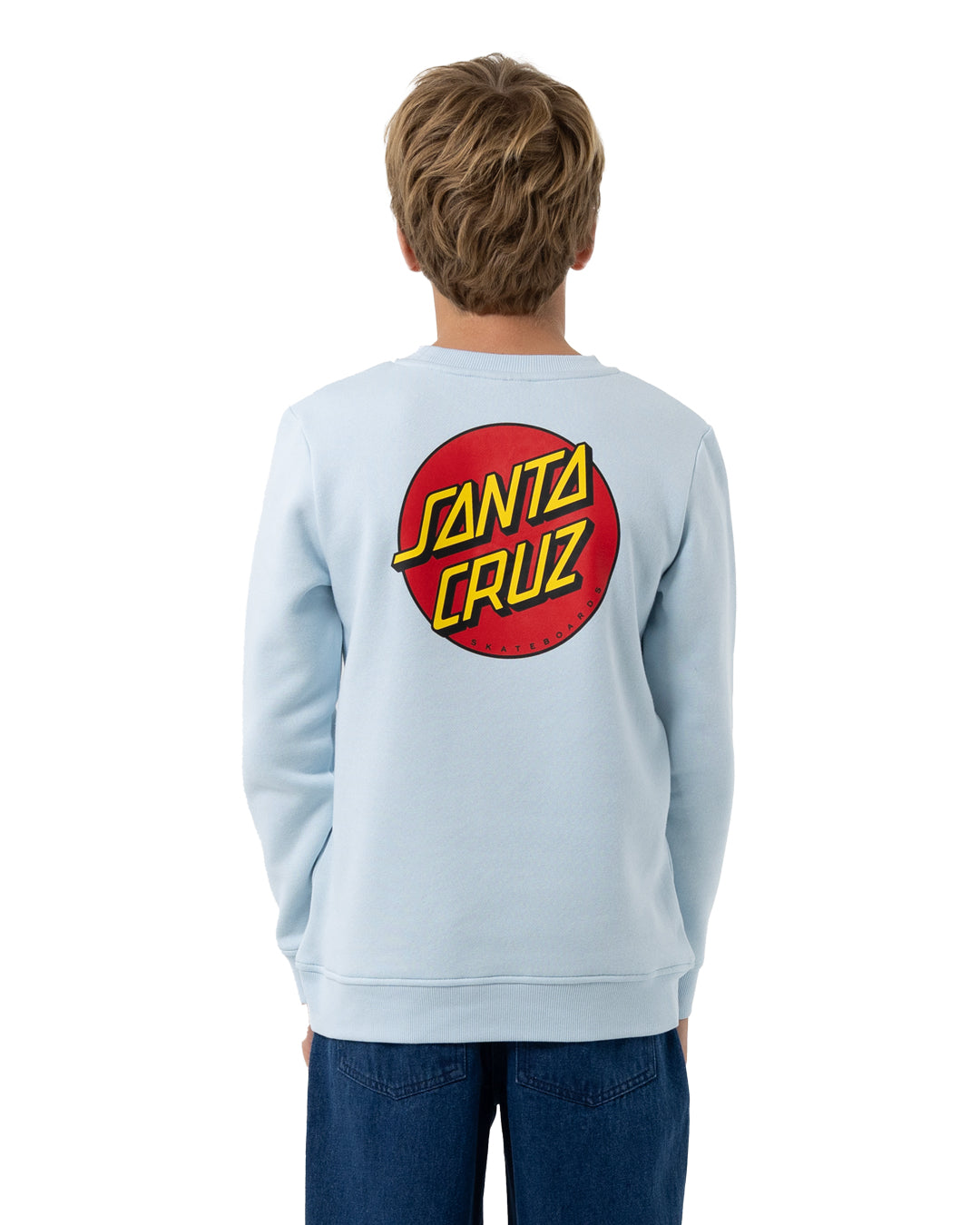 Santa Cruz Chest Dot Youth Crew in light blue on model from rear