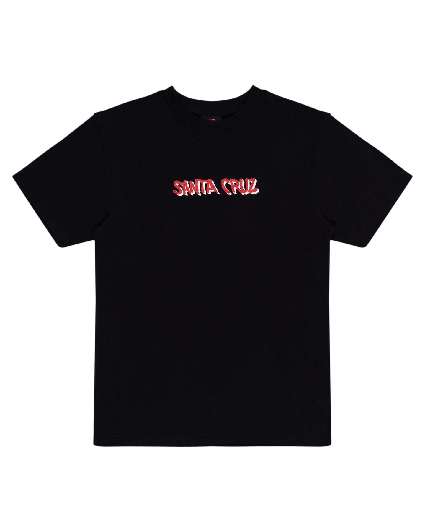 Santa Cruz Youth Screaming Wave Front Tee in black from front