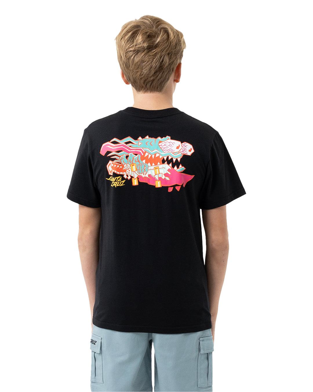 Santa Cruz Meek Scratched Slasher Boys T-Shirt in black colourway from rear