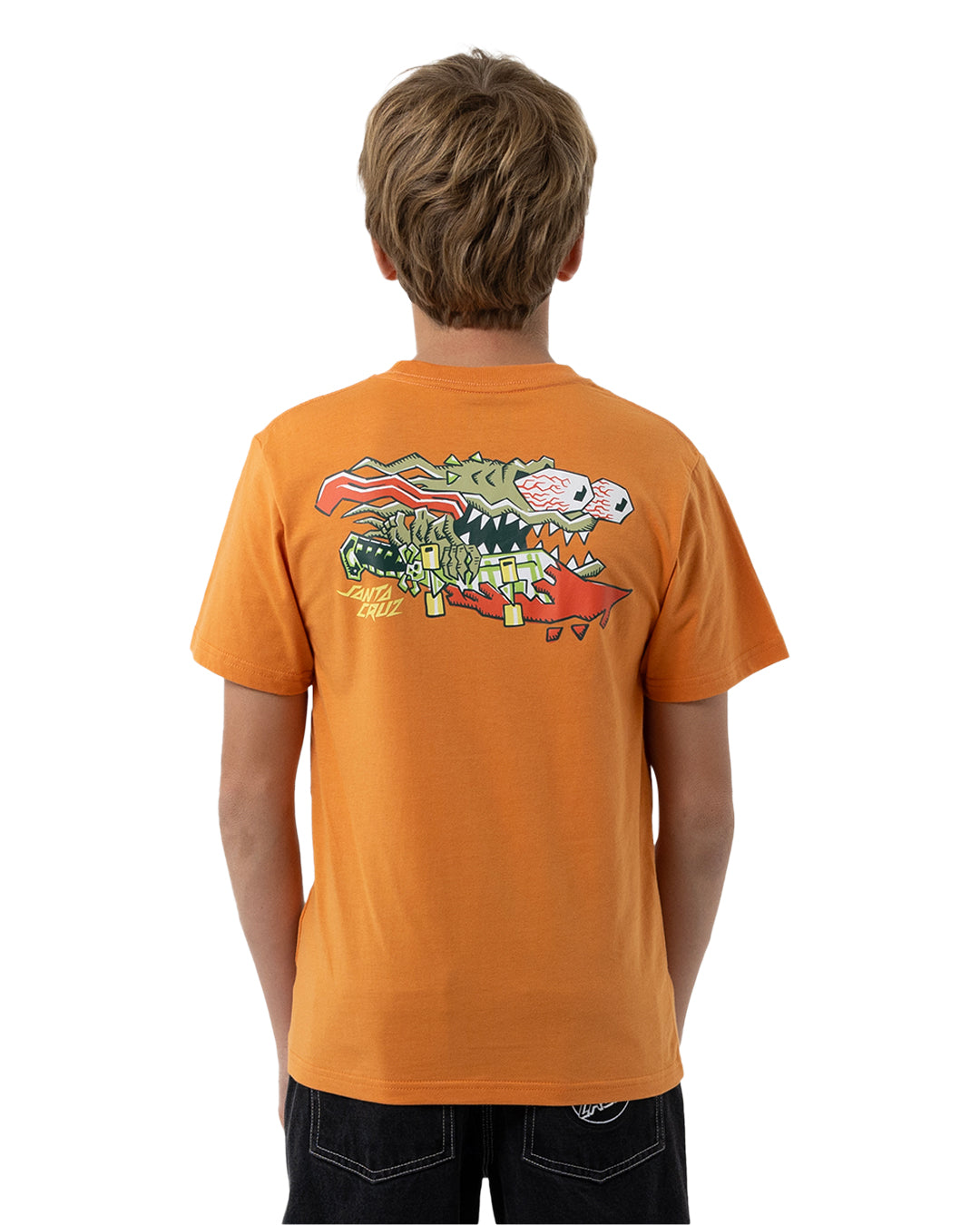 Santa Cruz Meek Scratched Slasher Boys T-Shirt in ginger colourway form rear