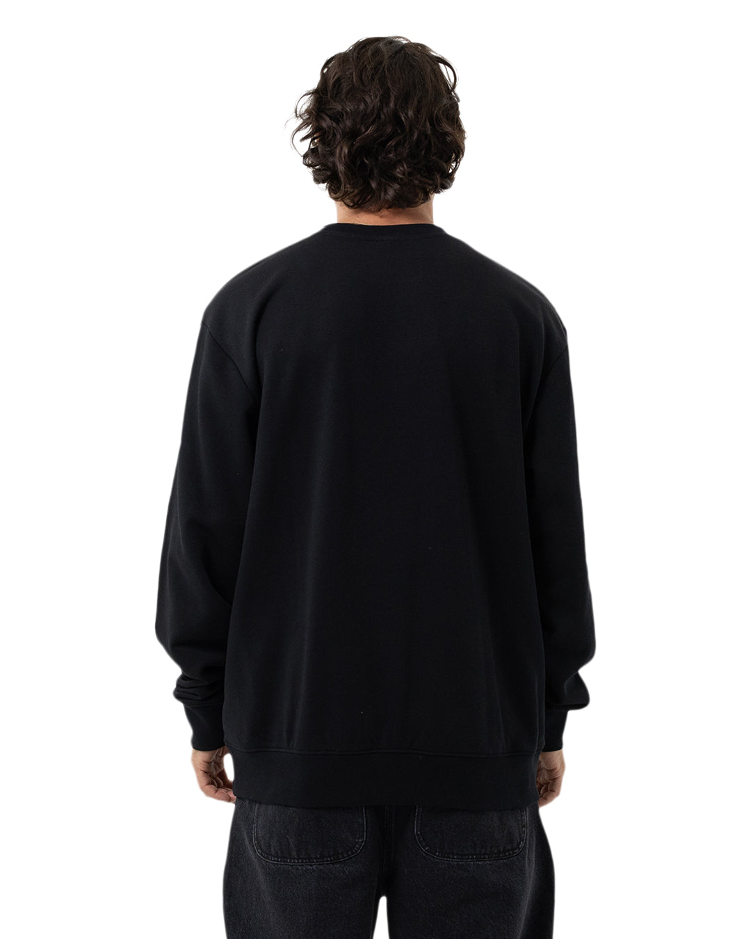 Santa Cruz Winkowski Eighth Planet Front Crew in black from rear