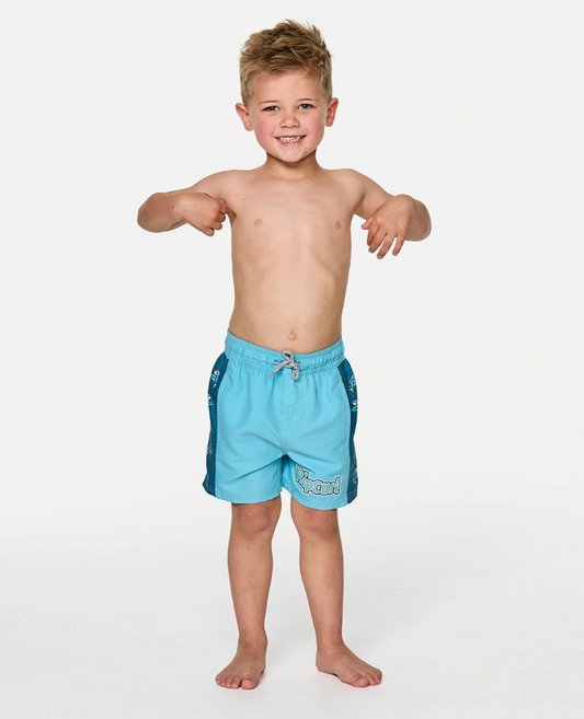 Rip Curl Paddle Out Boys Volley Shorts in light blue on model from the front