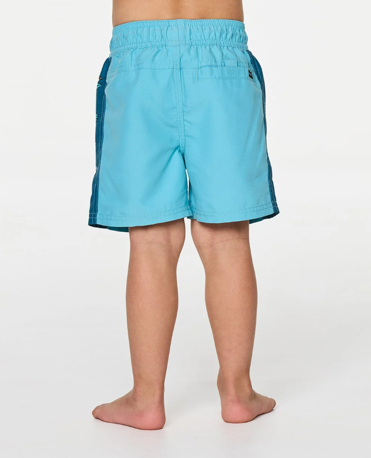 Rip Curl Paddle Out Boys Volley Shorts in light blue from the back