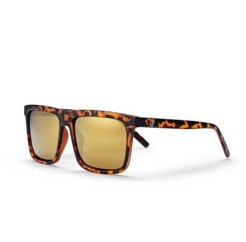 CHPO Brand Bruce Sunglasses in turtle brown form the front slight side view