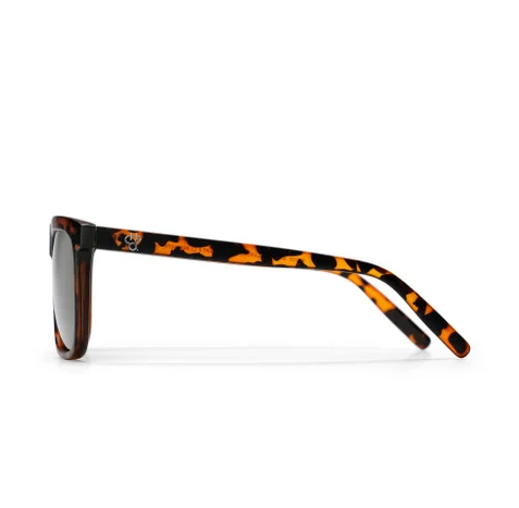 CHPO Brand Bruce Sunglasses in turtle brown from the side