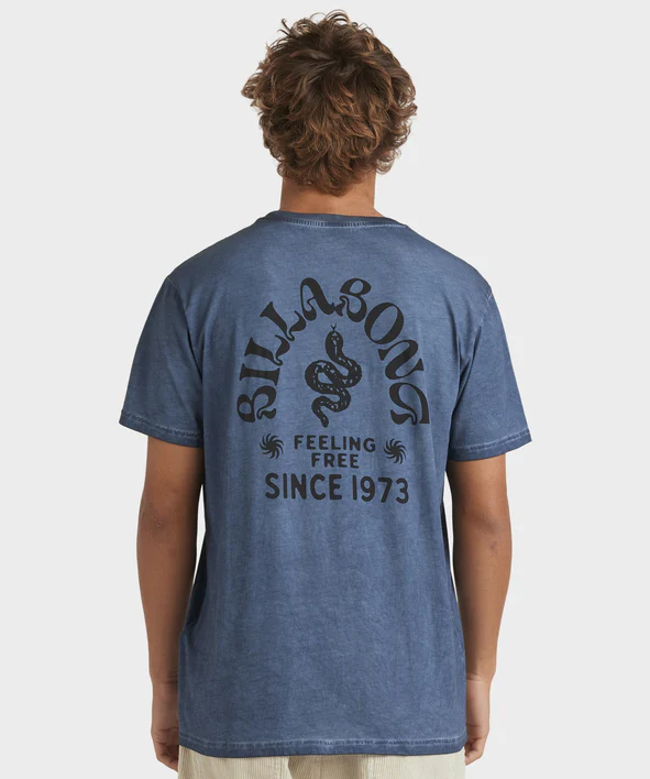 Billabong Big Wave Shaz T-Shirt in steel blue on model from  rear