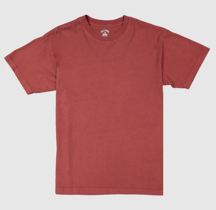 Billabong Premium Wave Washed Tee in colour brick