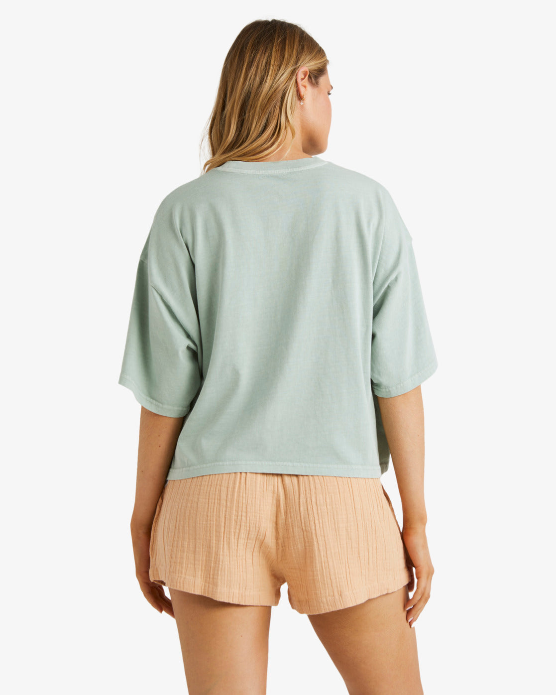 Billabong Remy Eco Shorts in baked clay colourway from rear