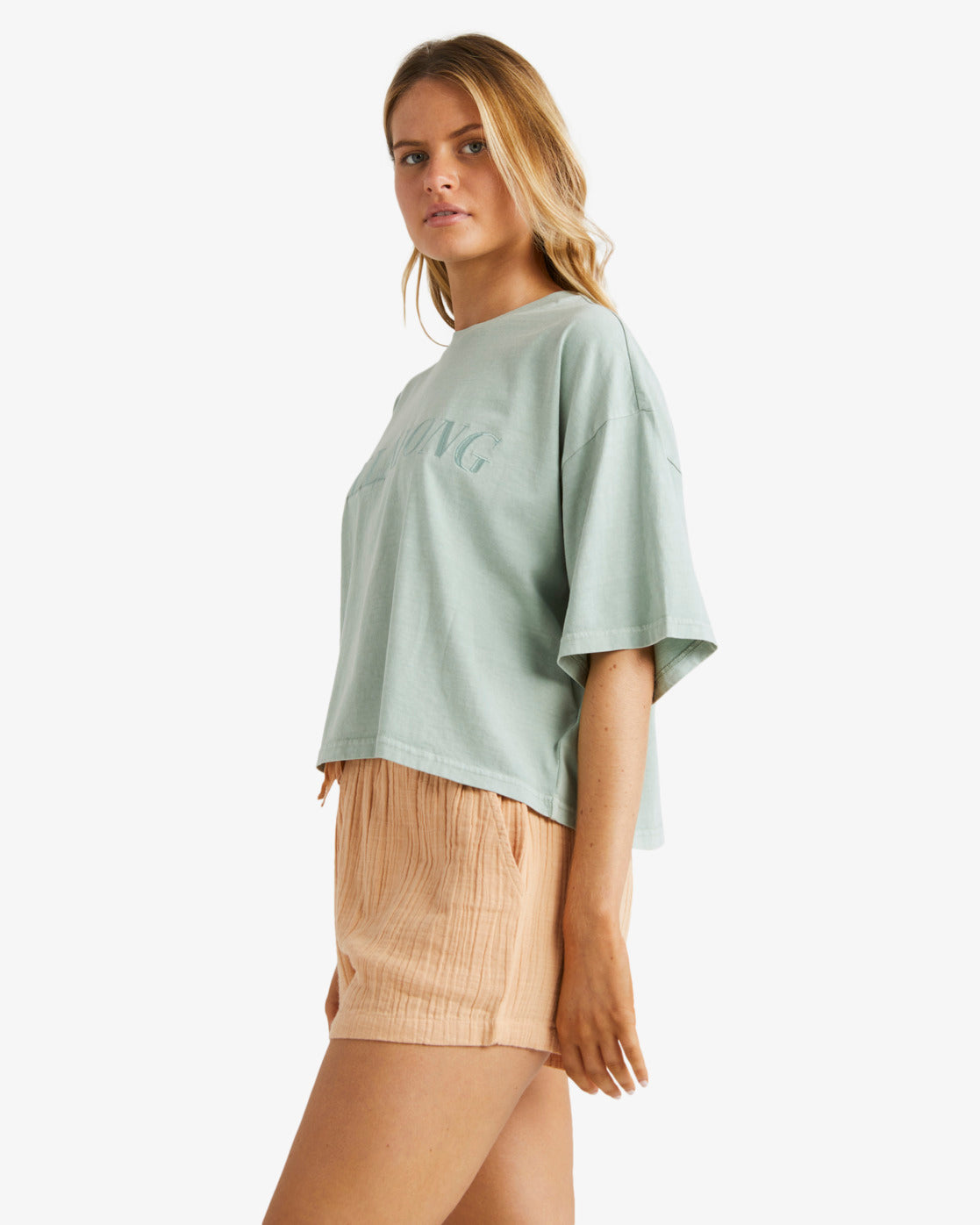 Billabong Remy Eco Shorts in baked clay colourway from side