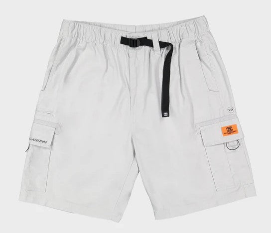 Billabong Spec 73 22" Cargo Shorts in silver colourway from front flatlay