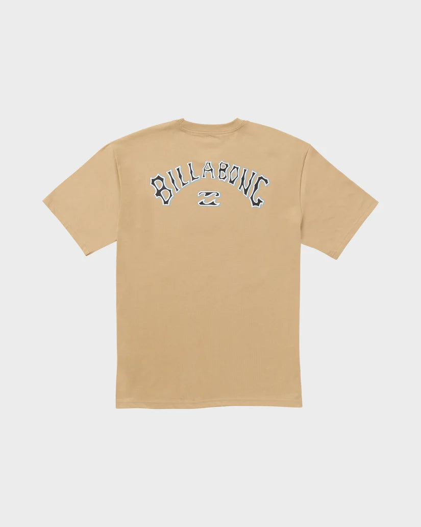 Billabong Throwback Regular Tee in hazel back veiw