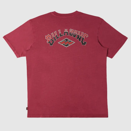 Billabong Youth Arch Wash Tee in jam colourway from rear