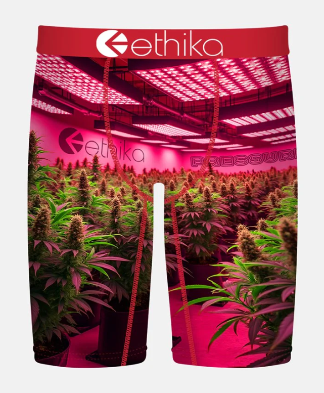 Ethika Big Motion Staple Mens Boxers in pink with marijuana plants from front