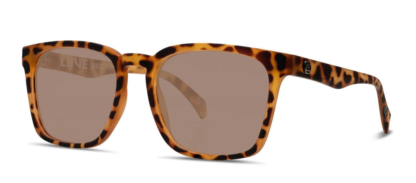 Liive Ahoy Gold Tort Mad Hueys Polarised Sunglasses