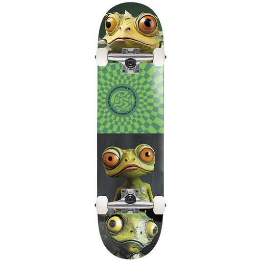 Push Gecko 8.0" Skateboard Complete in green and multi colour