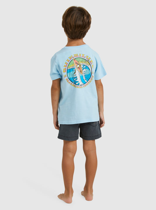 Quiksilver Backside Snap Boys Tee in clear sky colour from back