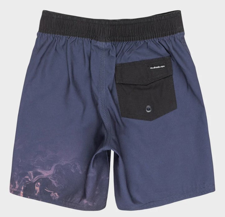 Quiksilver Everyday Next Gen 13" Boys Boardshorts in ink colourway from rear