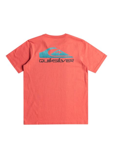 Quiksilver Boys Omni Wave Tee in spiced coral from rear